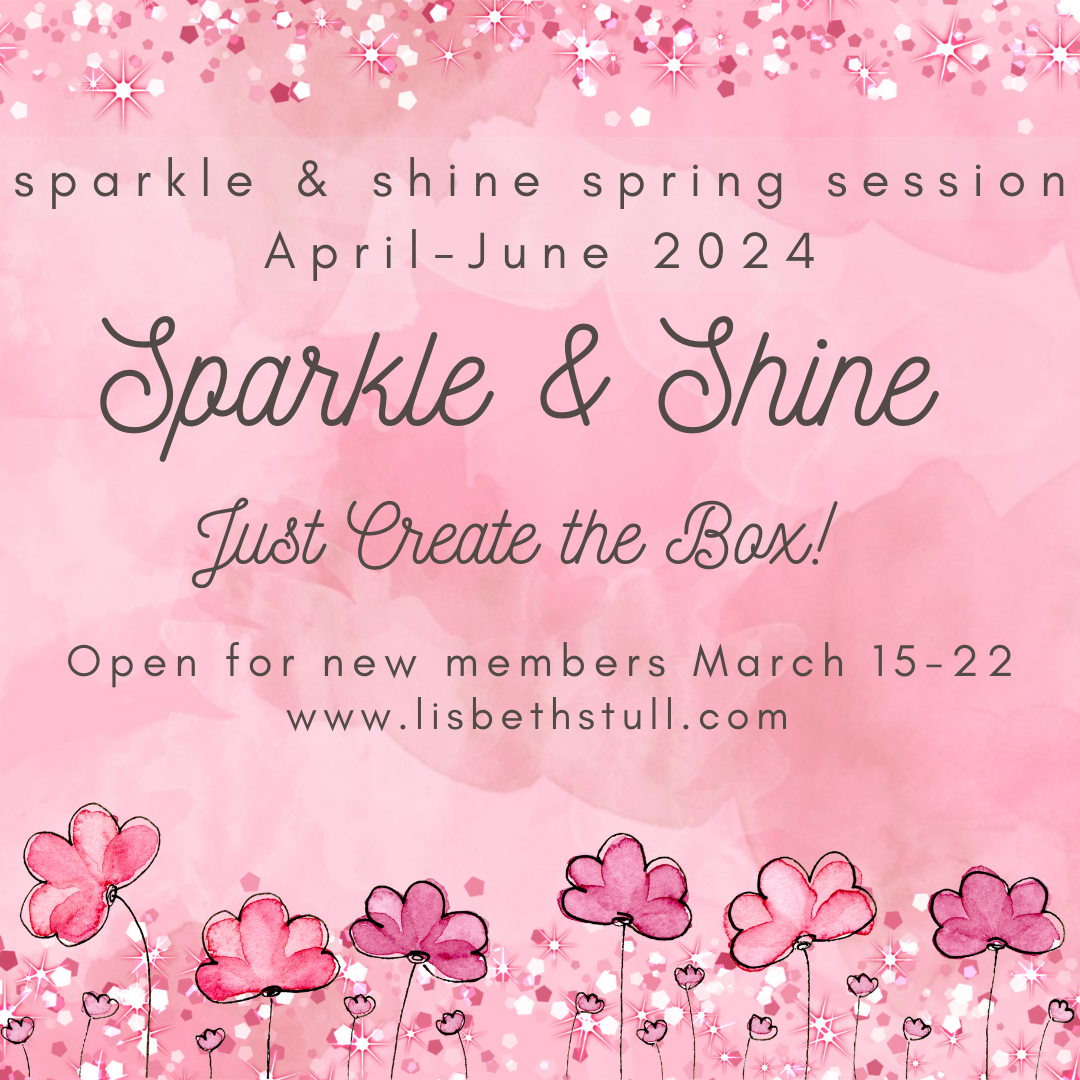Sparkle and Shine Quarterly Subscription