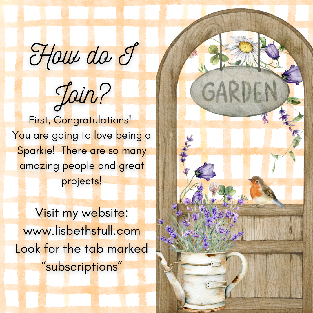 Sparkle & Shine Subscription Group