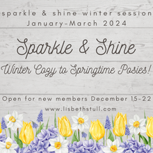 Load image into Gallery viewer, Sparkle &amp; Shine Subscription Group
