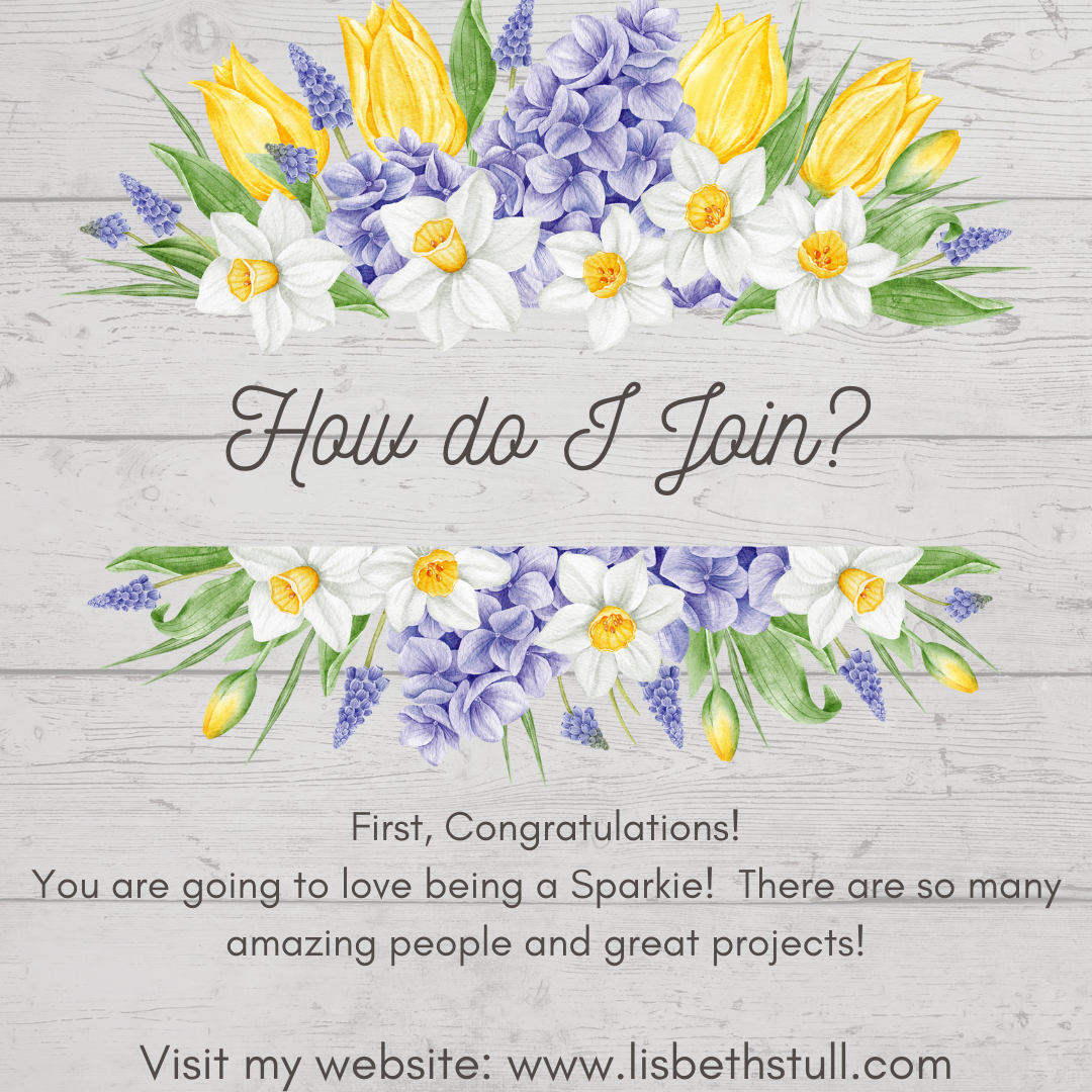 Sparkle & Shine Subscription Group